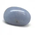 Αγγελίτης