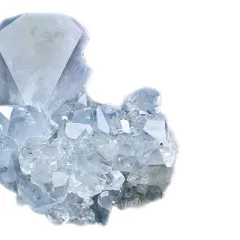 Τσελεστίνης